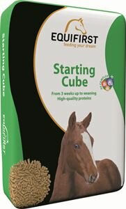 Equifirst Starting Cube