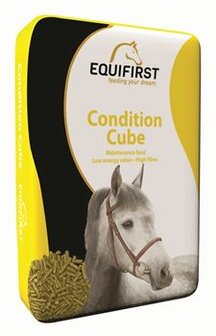 Equifirst Condition Cube