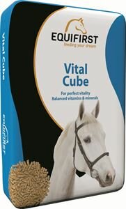 Equifirst Vital Cube