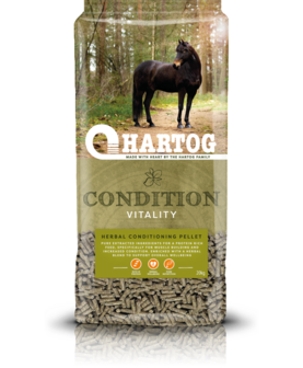 Hartog Condition