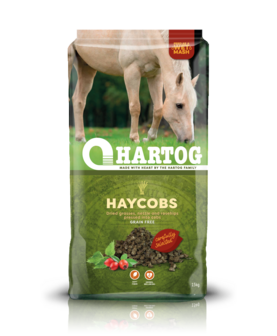 Hartog Haycobs