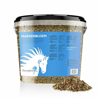 Pharmahorse Paardenbloem