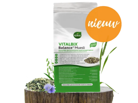 Vitalbix Balance+ Muesli