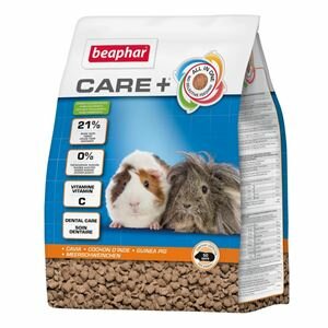 Care+ Cavia