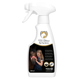 Excellent HOrse Hi Gloss Big Hug Spray