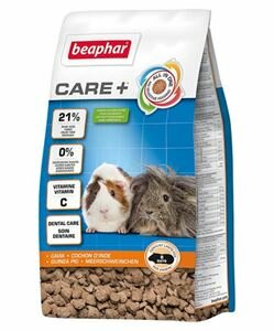 Care+ Cavia