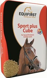 Equifirst Sport Plus Cube