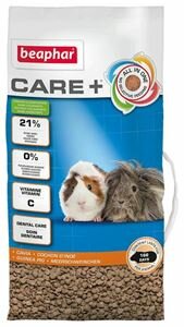 Care+ Cavia